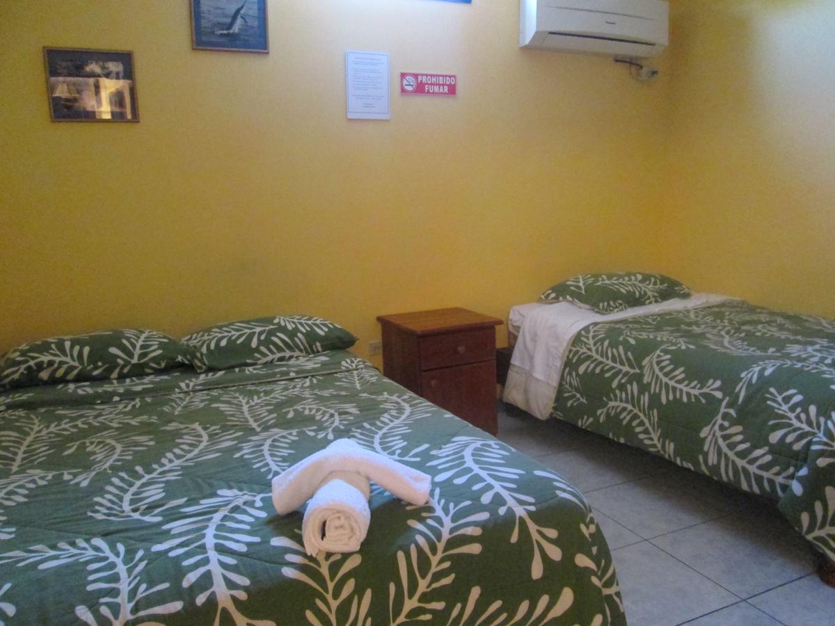 Hostal Leon Dormido プエルト・バケリソ・モレノ エクステリア 写真